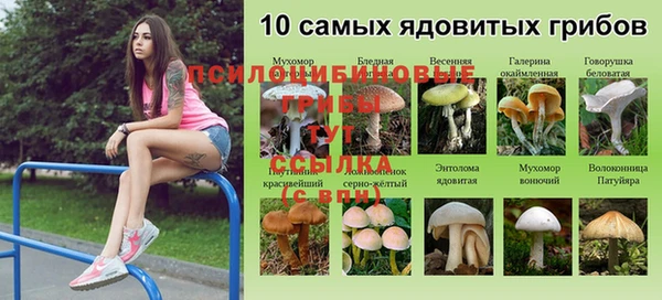 скорость Абаза