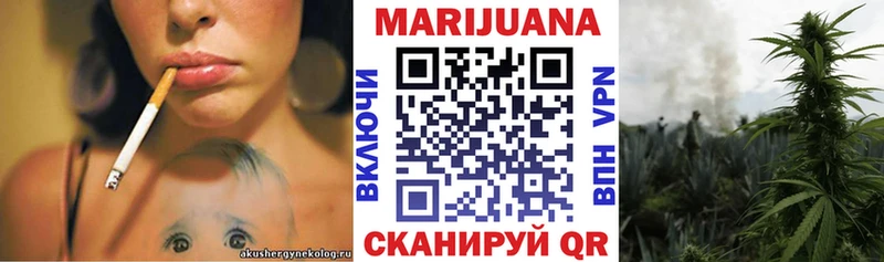 Канабис SATIVA & INDICA  Сокол 